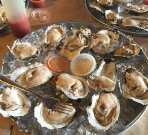 Jb S Fish Camp Seafood Reviews User Reviews For Jb S Fish Camp Seafood New Smyrna Beach Daytona Beach Jb S Fish Camp Seafood Reviews User Reviews For Jb S Fish Camp Seafood New Smyrna Beach Daytona Beach